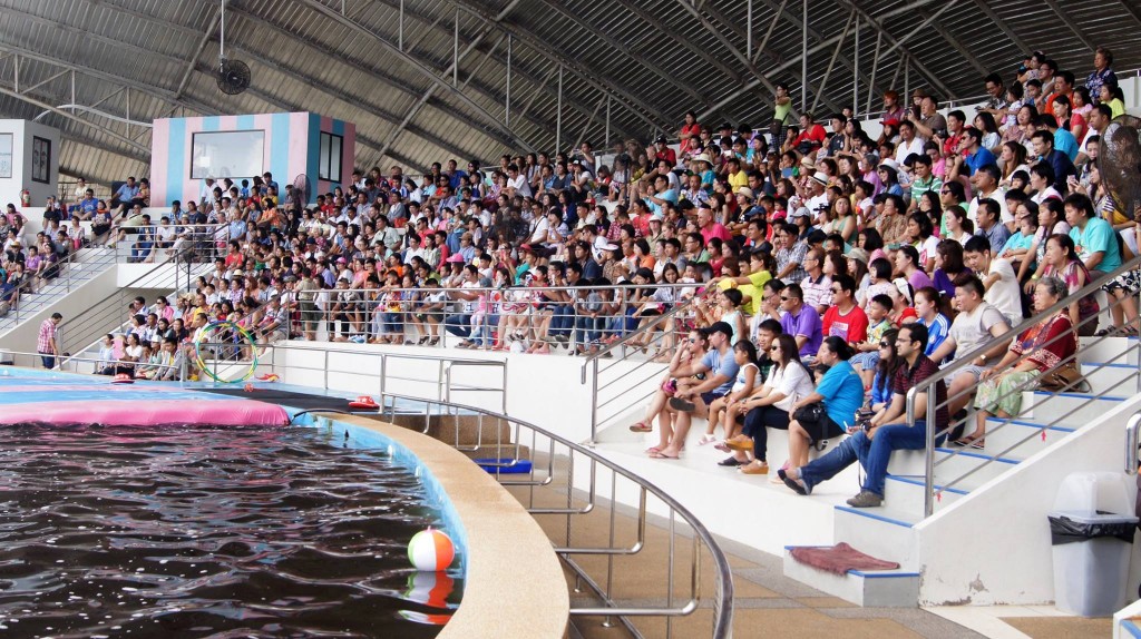 Pattaya Dolphin World & Resort