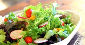 The Salad Concept-สลัด