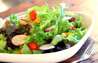 The Salad Concept-สลัด