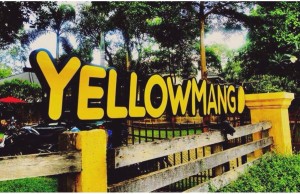 Yellow Mango-ป้ายร้านโดดเด่น