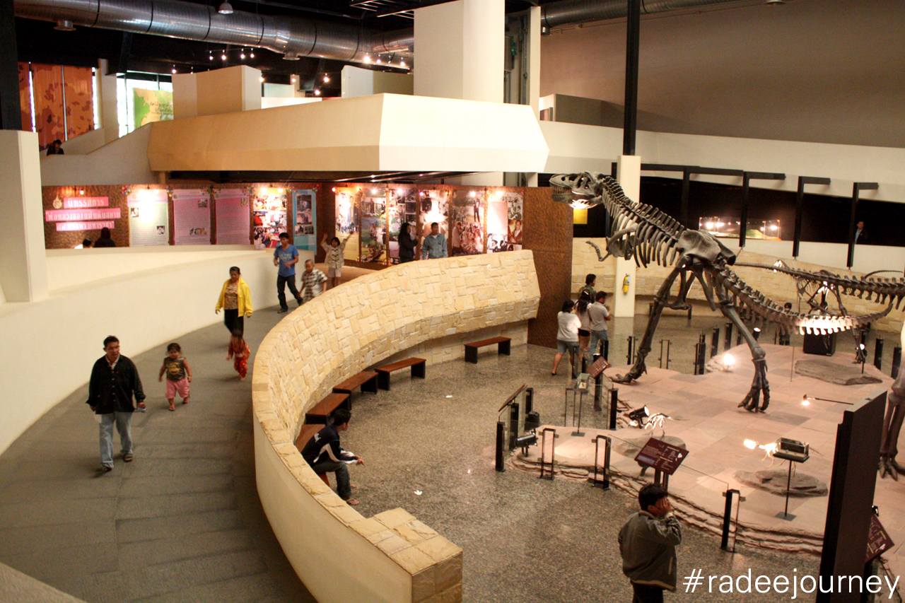 ด้านในพิพิธภัณฑ์ไดโนเสาร์1
