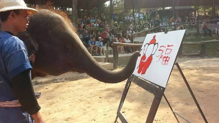 ปางช้างแม่สา-ช้างวาดภาพ