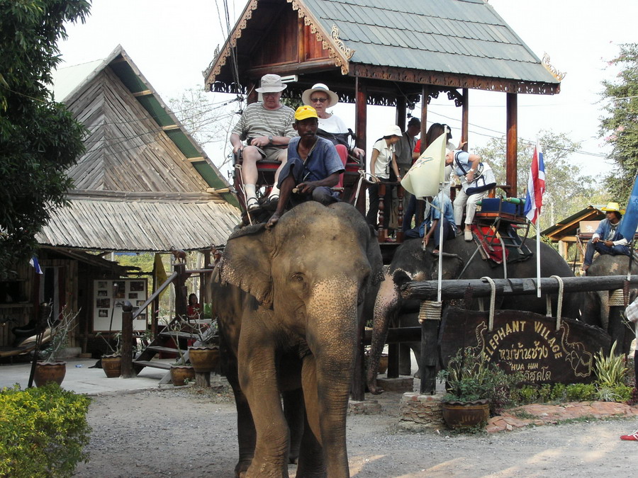 หมู่บ้านช้างหัวหิน-ขี่ช้าง