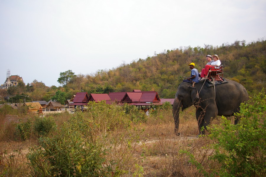 หมู่บ้านช้างหัวหิน-ชมวิวบนหลังช้าง