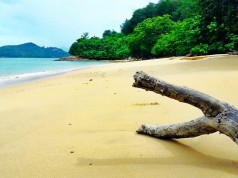 เกาะมะพร้าว-หาดทราย
